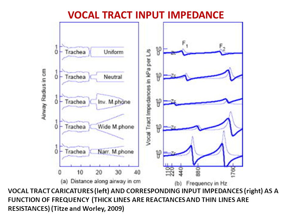 VOCAL TRACT INPUT IMPEDANCE