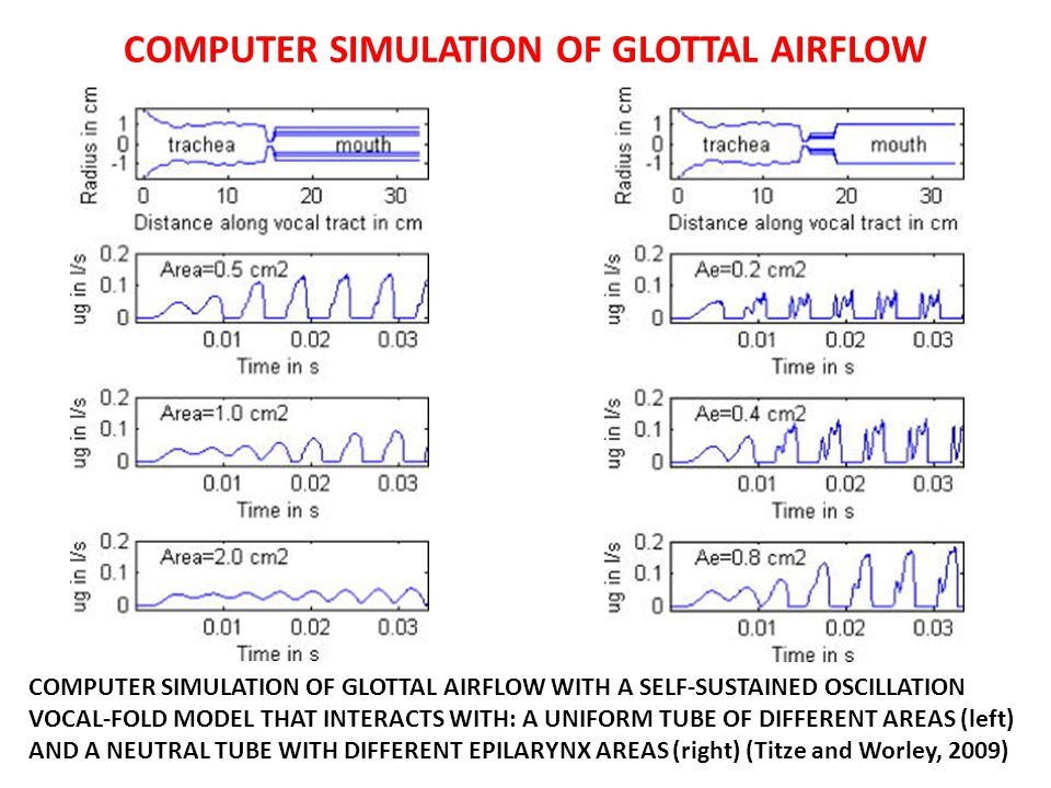 COMPUTER SIMULATION OF GLOTTAL AIRFLOW