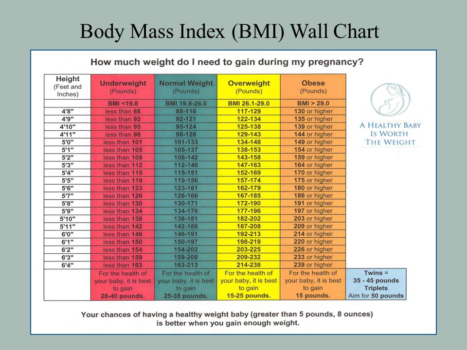 Body Mass Index Chart For Infants