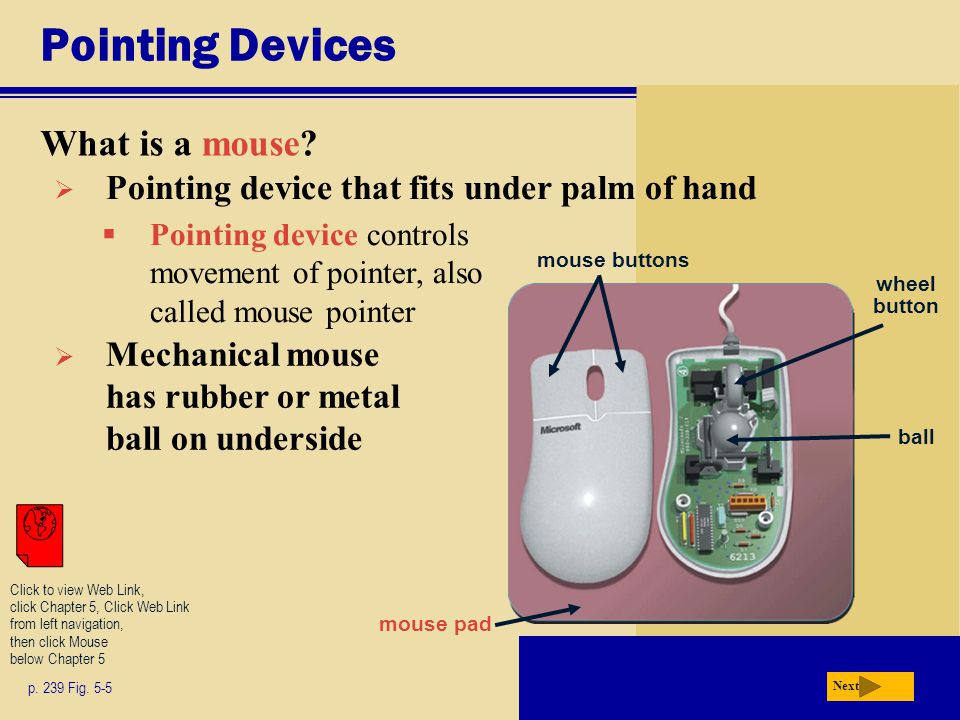 Pointing Devices What is a mouse.