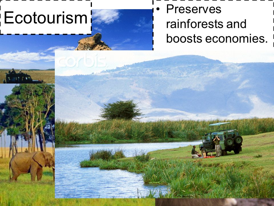 Ecotourism Preserves rainforests and boosts economies.