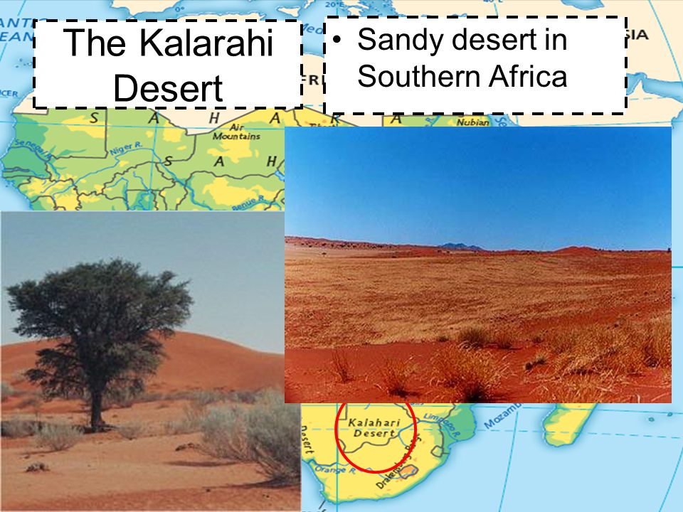 The Kalarahi Desert Sandy desert in Southern Africa
