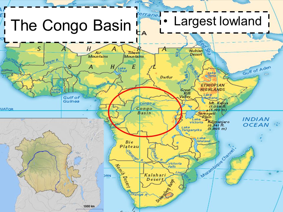 The Congo Basin Largest lowland