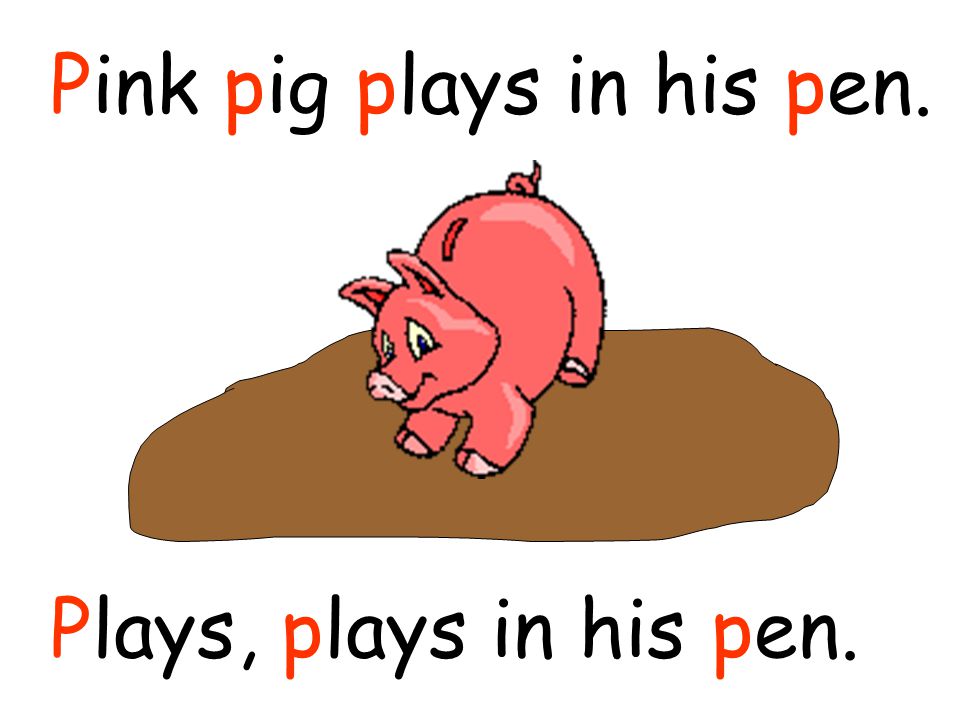 Pink pig plays in his pen. 