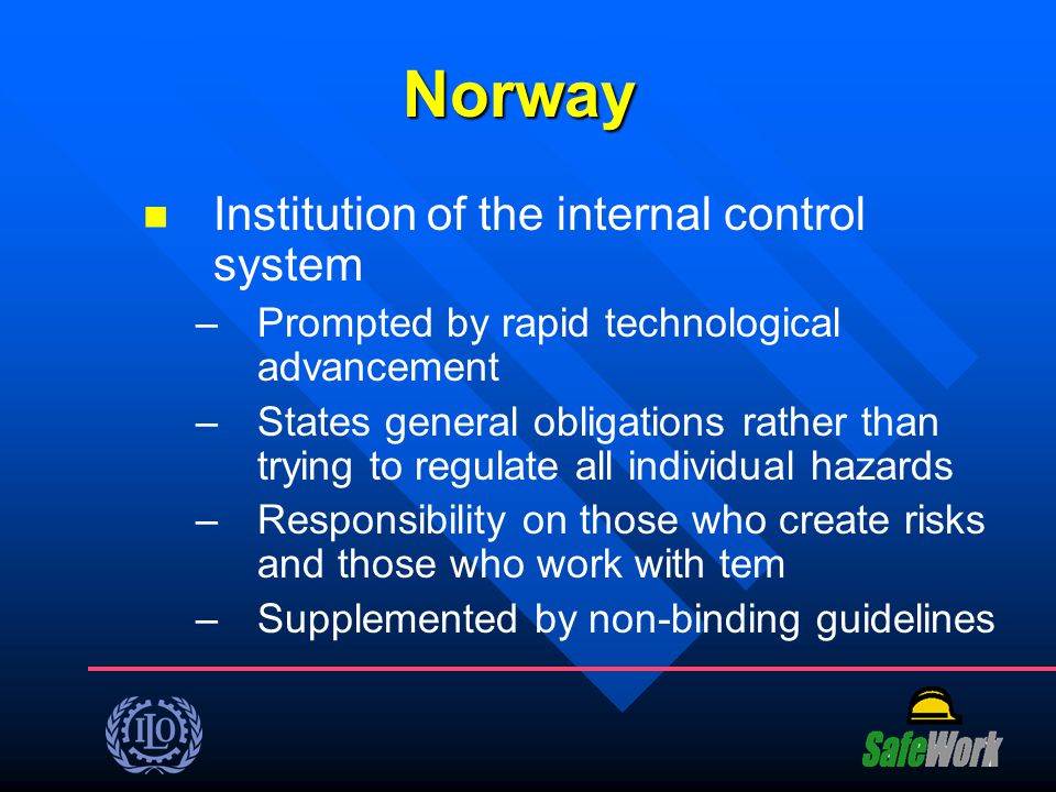 Norway Institution of the internal control system