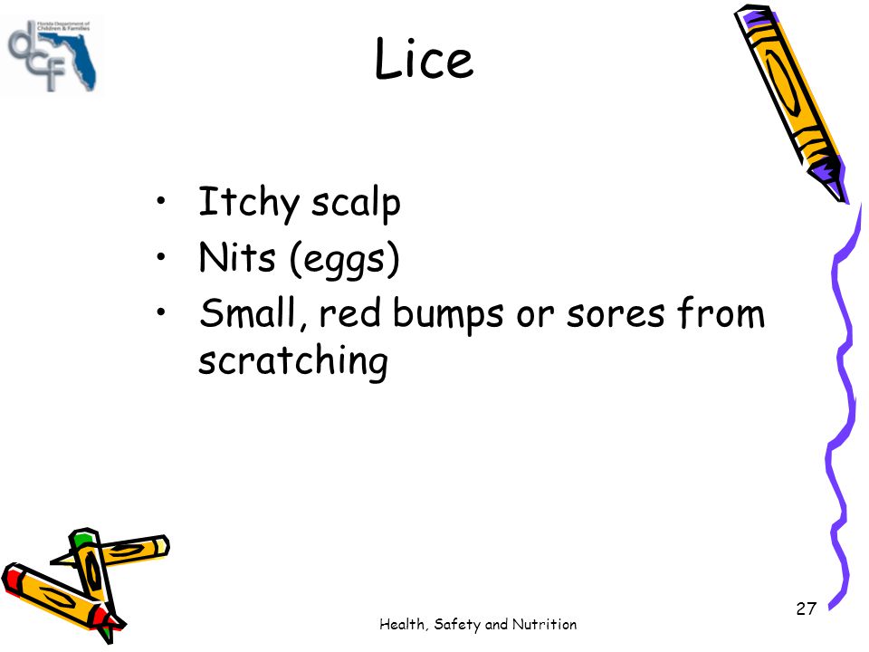 Lice Itchy scalp Nits (eggs) Small, red bumps or sores from scratching