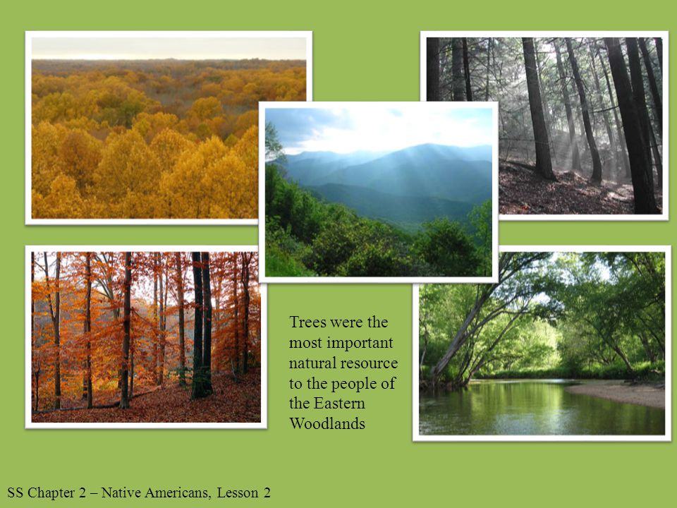 Trees were the most important natural resource to the people of the Eastern Woodlands