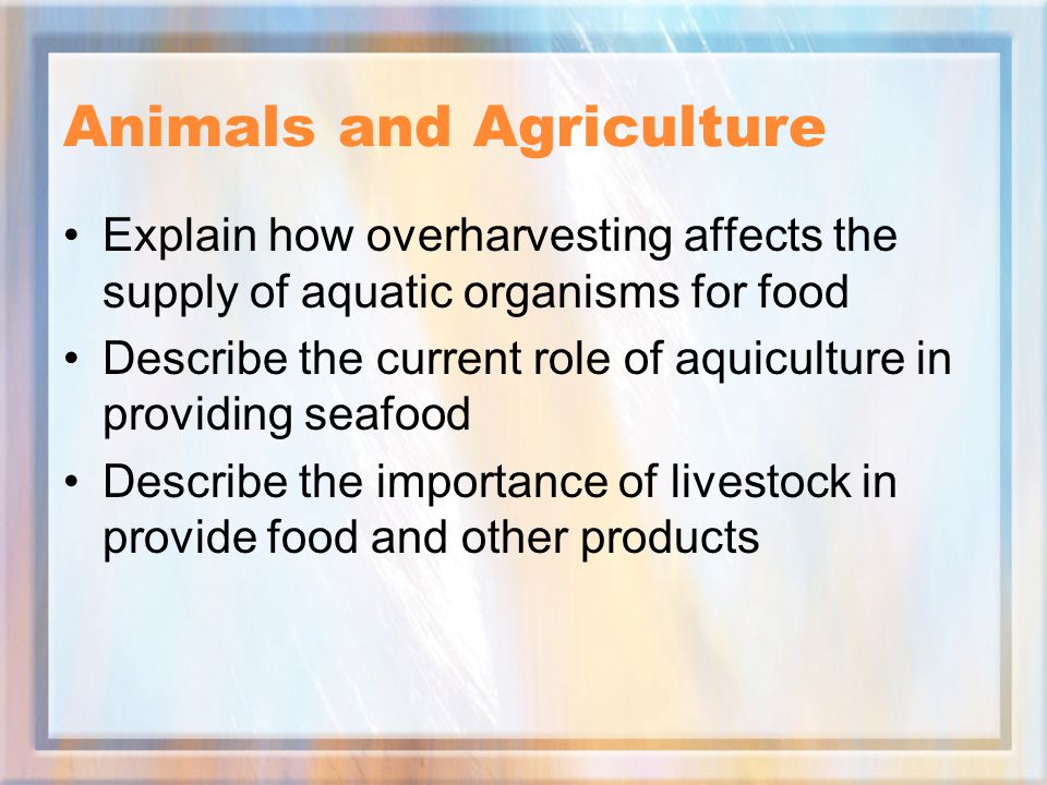 Animals and Agriculture