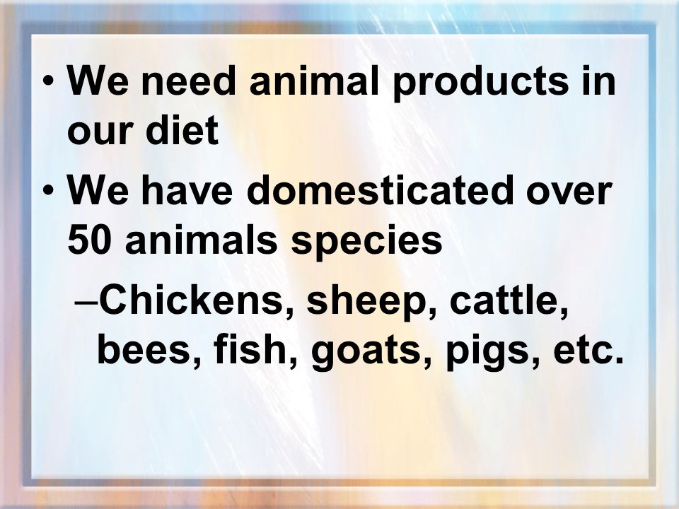 We need animal products in our diet