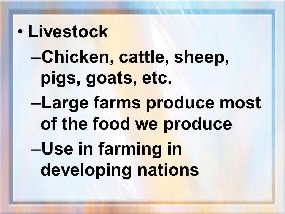 Livestock Chicken, cattle, sheep, pigs, goats, etc. Large farms produce most of the food we produce.