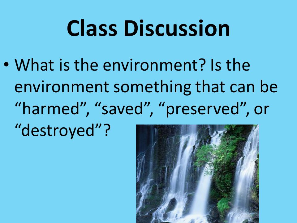 Class Discussion What is the environment.