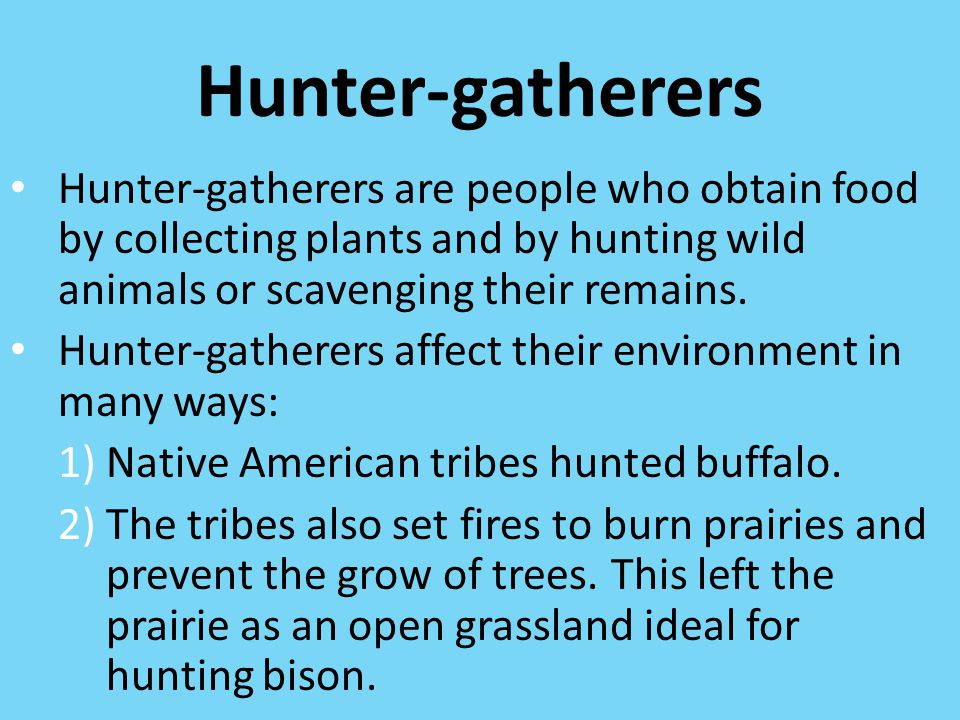 Hunter-gatherers Hunter-gatherers are people who obtain food by collecting plants and by hunting wild animals or scavenging their remains.
