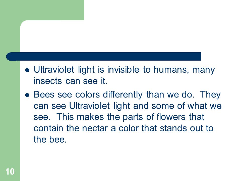 Ultraviolet light is invisible to humans, many insects can see it.