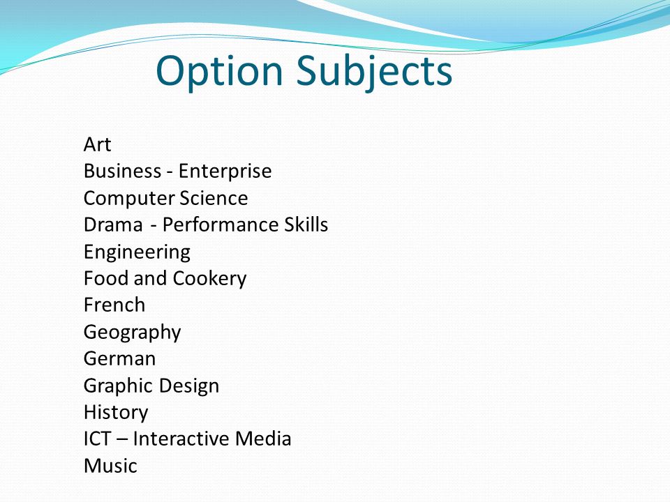 Option Subjects Art Business - Enterprise Computer Science