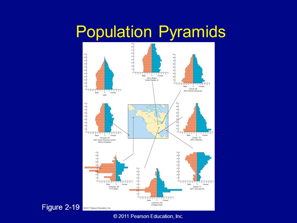 Population Pyramids Figure 2-19