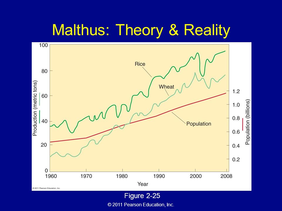 Malthus: Theory & Reality