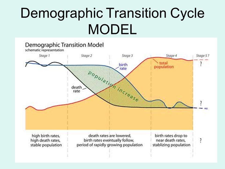 Demographic Transition Cycle MODEL