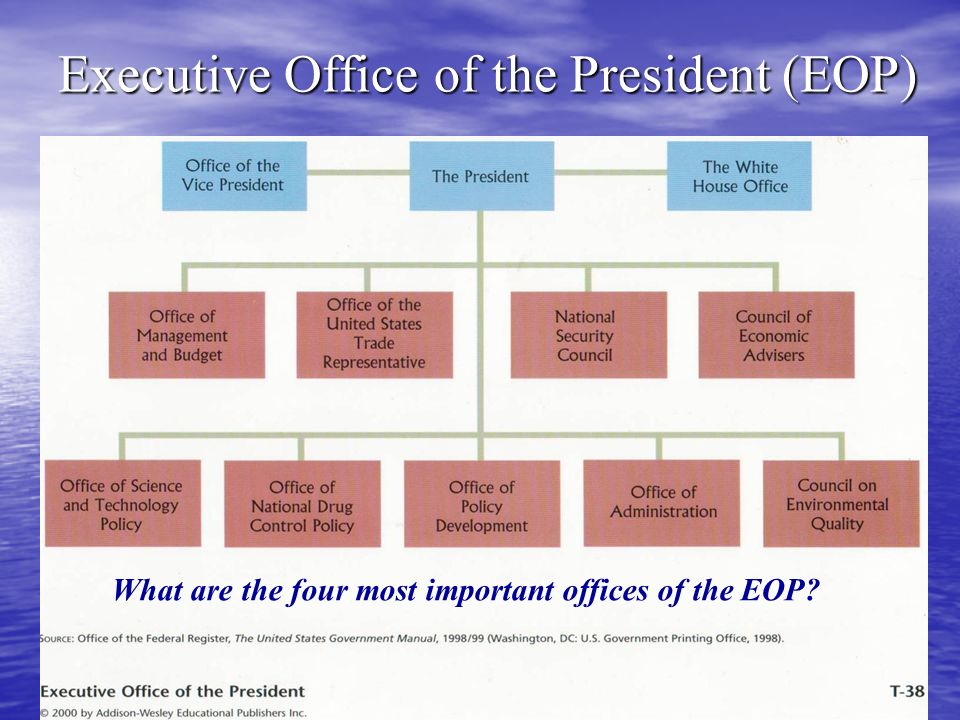 President Of The United States Organizational Chart
