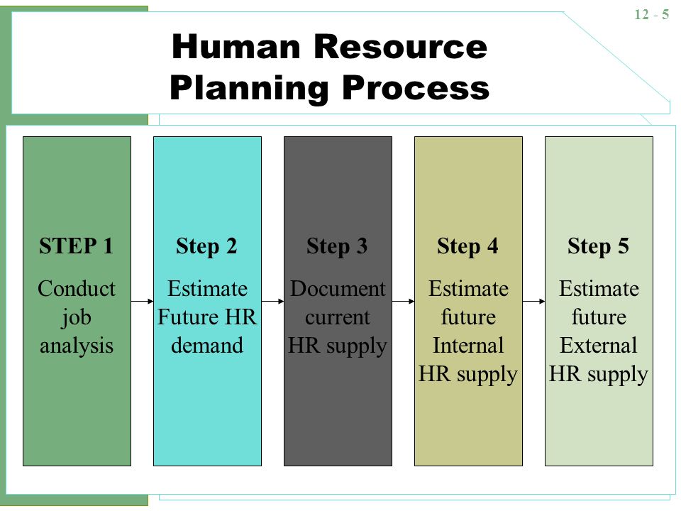 steps of human resource planning process
