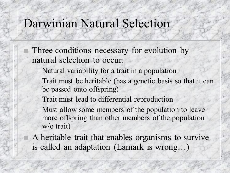 Darwinian Natural Selection
