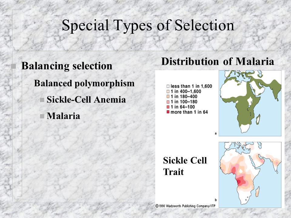 Special Types of Selection