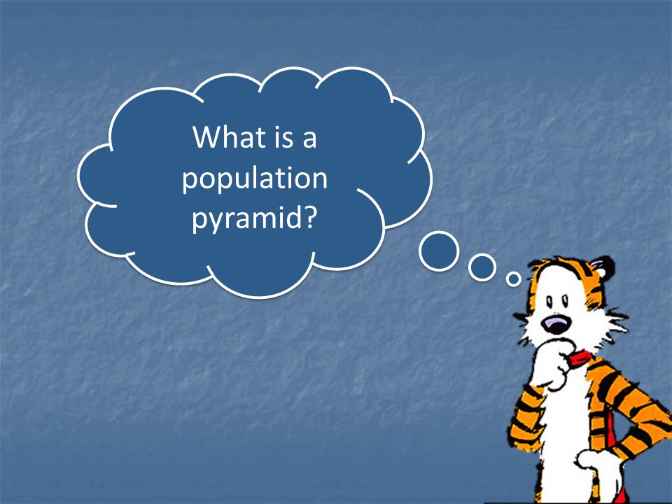 What is a population pyramid