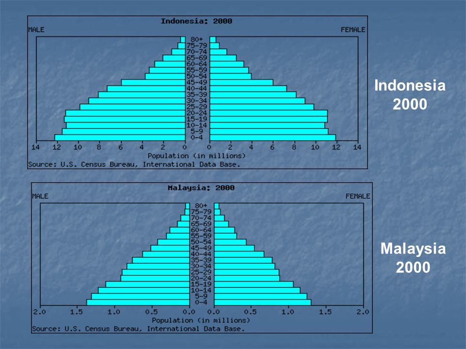 Indonesia 2000 Malaysia 2000