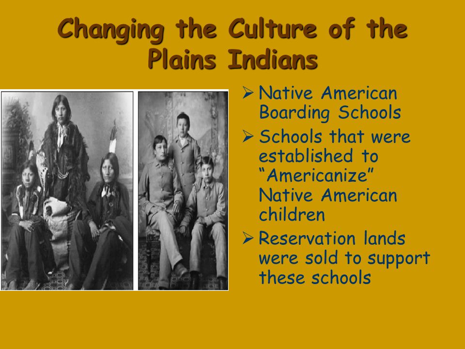Changing the Culture of the Plains Indians