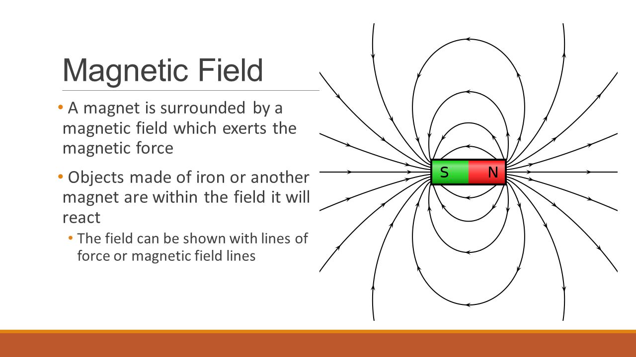 Magnetic Field A magnet is surrounded by a magnetic field which exerts the magnetic force.