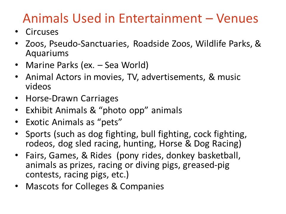 Animals Used in Entertainment – Venues