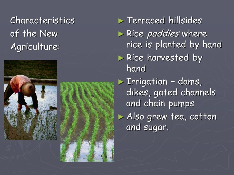 Characteristics of the New. Agriculture: Terraced hillsides. Rice paddies where rice is planted by hand.