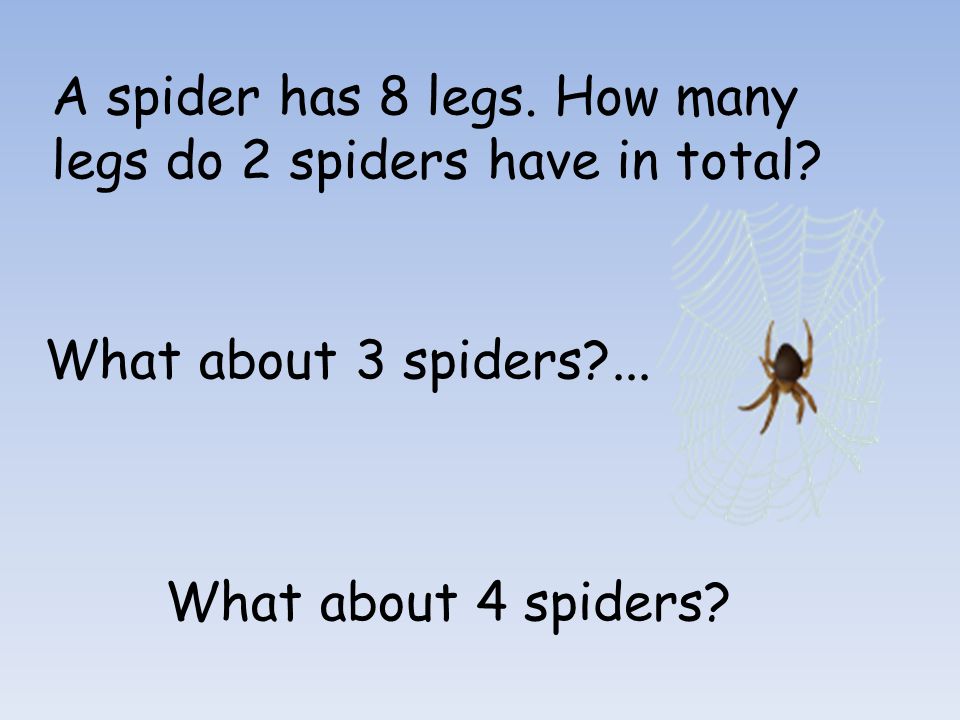 A spider has got eight. A Spider has got eight Legs 3 класс. A Spider has got eight Legs перевод. Spider can Crawl. Spider has 8 Legs.