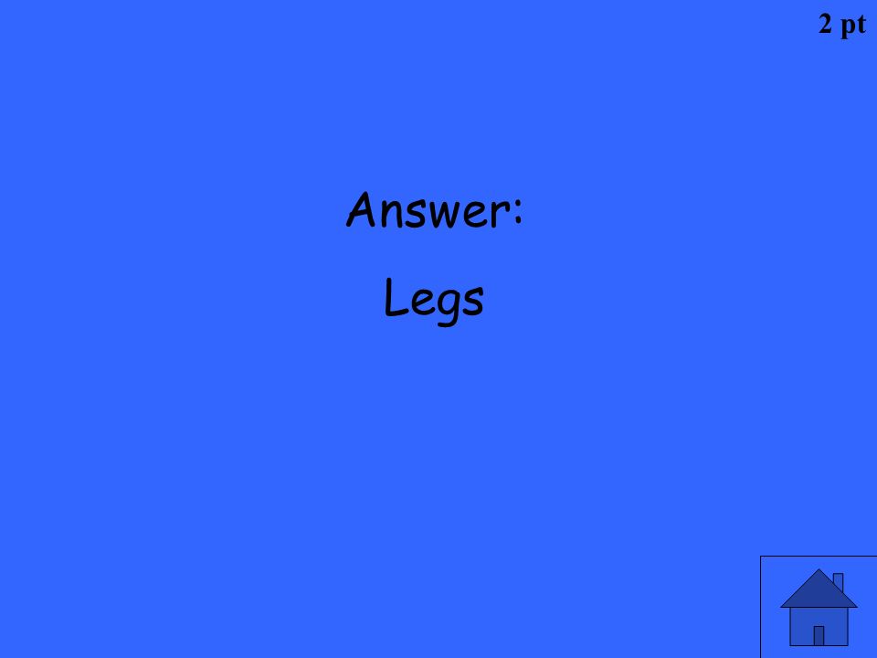 2 pt Answer: Legs