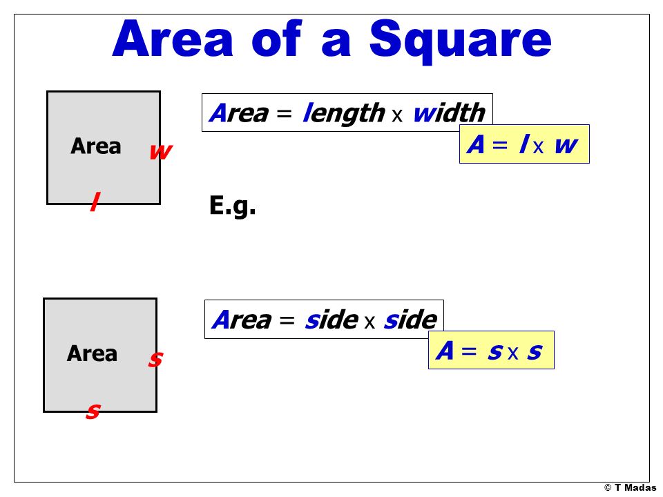 Area of a Square Area = length x width A = l x w w l E.g.