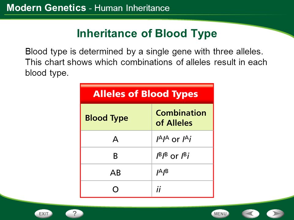 Blood Type Genetics Chart