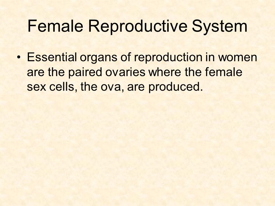 essential organs of reproduction