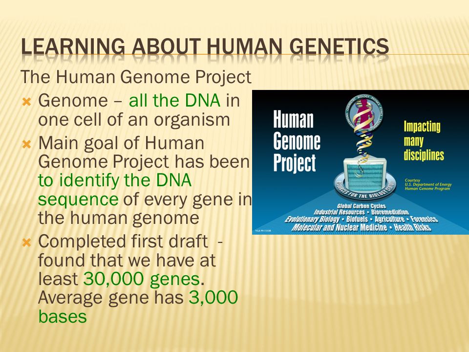 Learning About Human Genetics