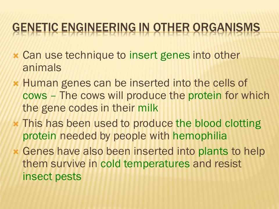 Genetic Engineering in Other Organisms