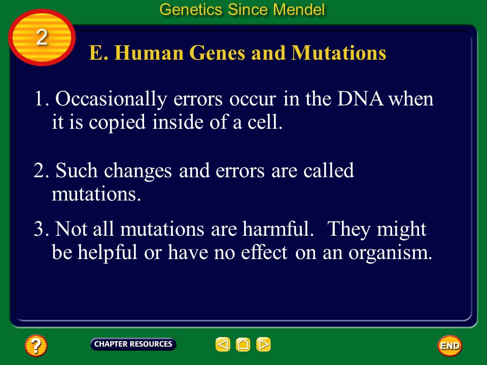 E. Human Genes and Mutations