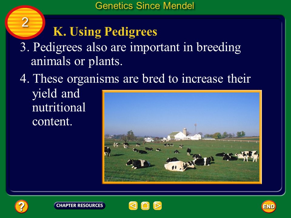 3. Pedigrees also are important in breeding animals or plants.