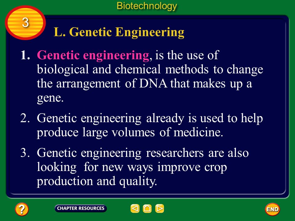 Biotechnology 3. L. Genetic Engineering.