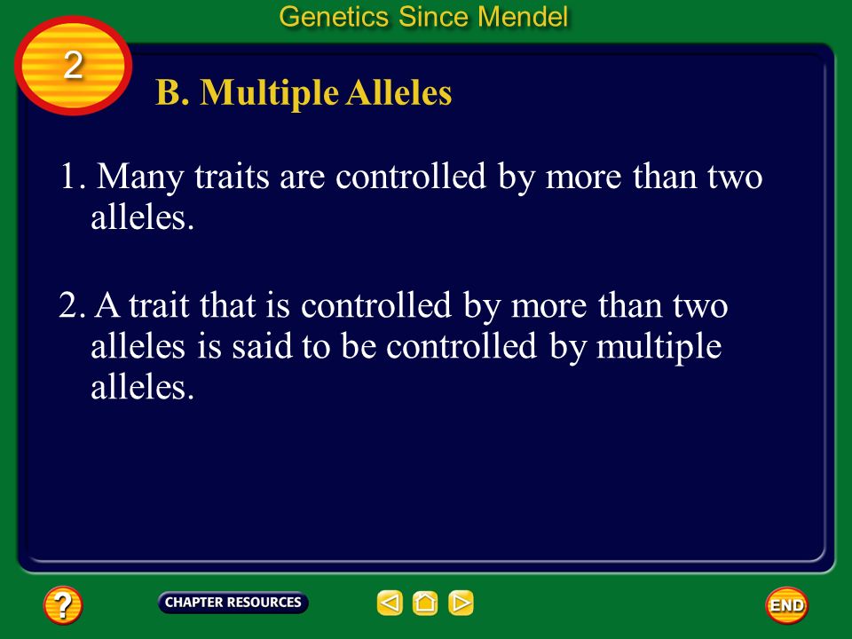 1. Many traits are controlled by more than two alleles.