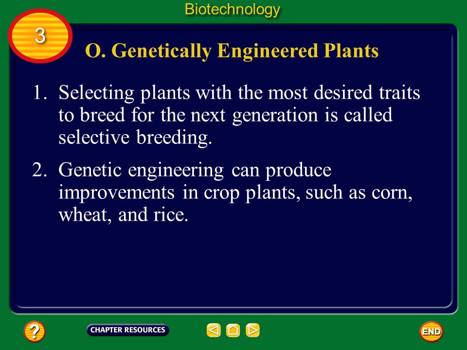 O. Genetically Engineered Plants