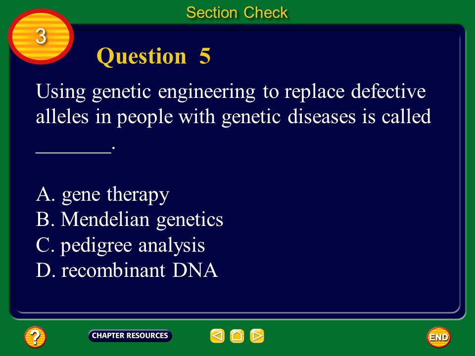 Section Check 3. Question 5. Using genetic engineering to replace defective alleles in people with genetic diseases is called _______.