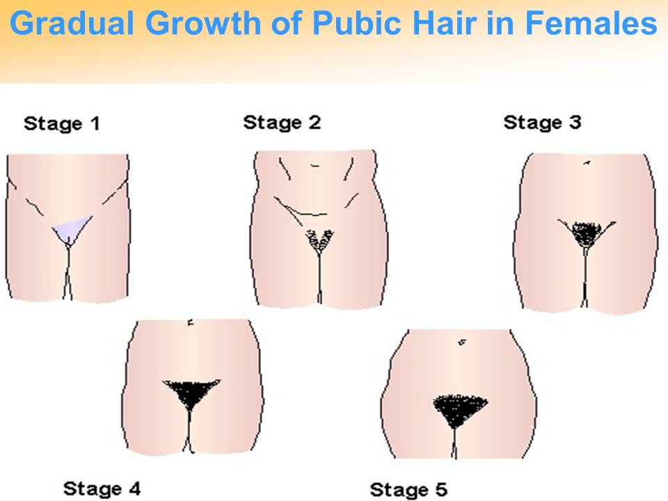 PUBERTY TIME OF MANY CHANGES. - ppt video online download