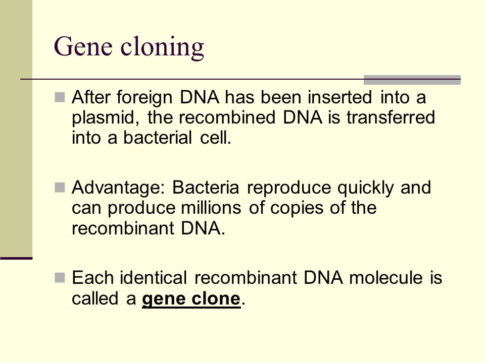 Gene cloning After foreign DNA has been inserted into a plasmid, the recombined DNA is transferred into a bacterial cell.