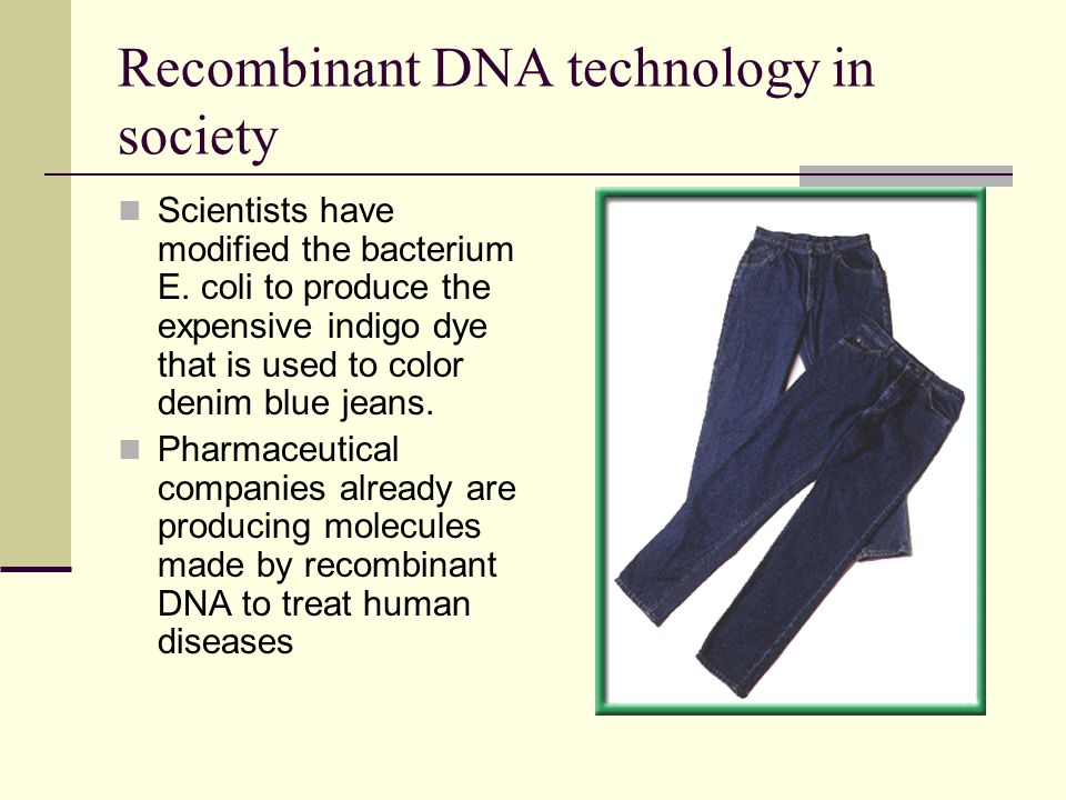 Recombinant DNA technology in society