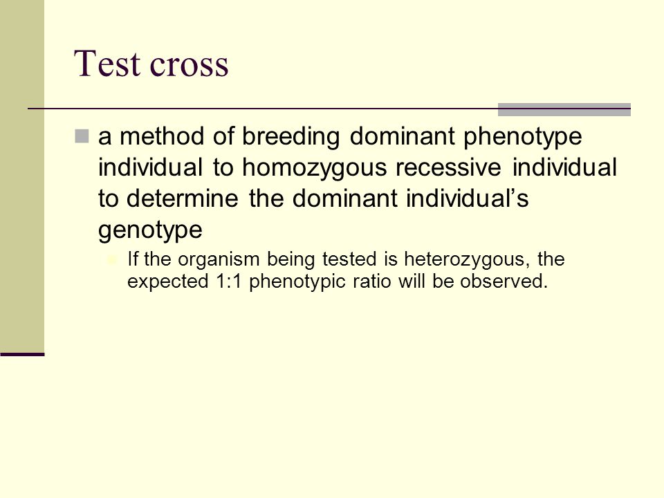 Test cross a method of breeding dominant phenotype individual to homozygous recessive individual to determine the dominant individual’s genotype.