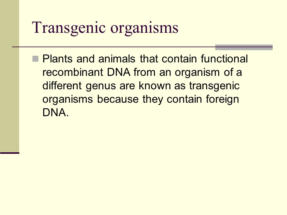 Transgenic organisms