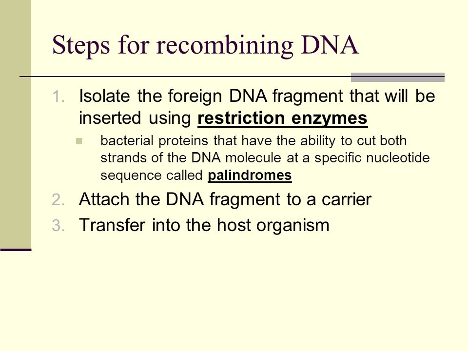 Steps for recombining DNA